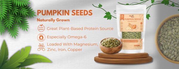 Pumpkin Seeds - Image 2